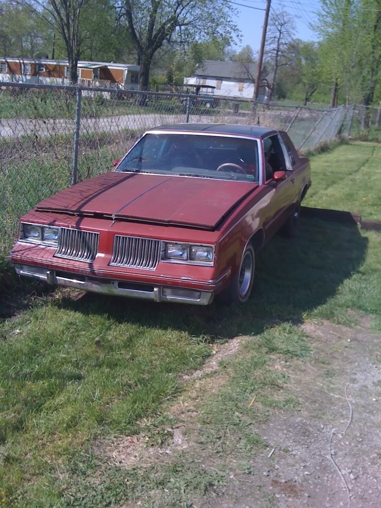 Name:  IMG_0559.jpg
Views: 95
Size:  207.5 KB