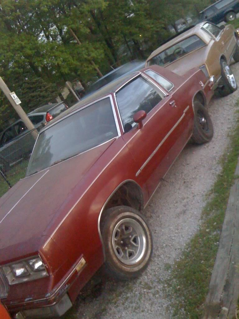 Name:  IMG_0860.jpg
Views: 60
Size:  148.9 KB