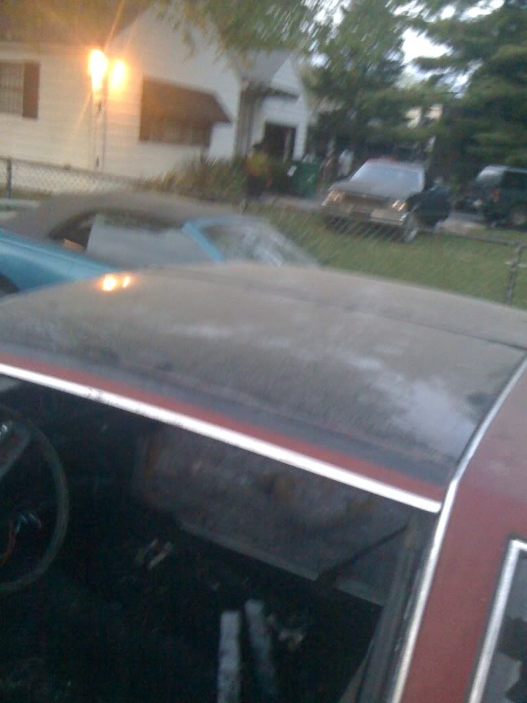 Name:  IMG_0865.jpg
Views: 69
Size:  76.3 KB