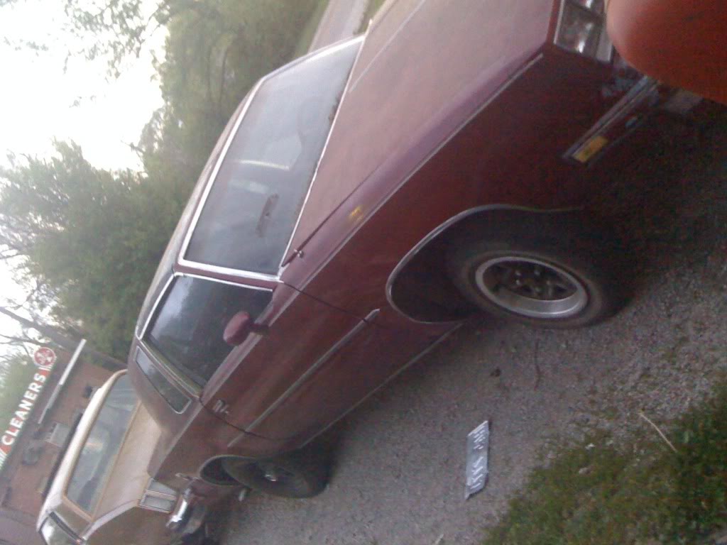 Name:  IMG_0850.jpg
Views: 84
Size:  91.5 KB