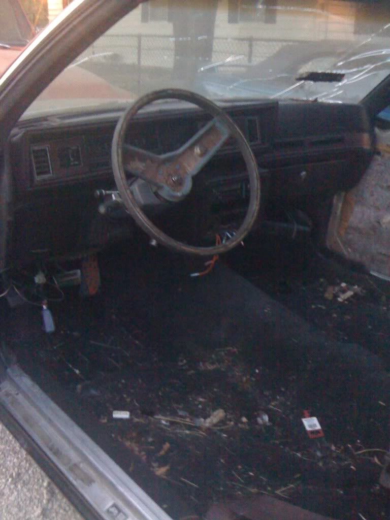 Name:  IMG_0863.jpg
Views: 66
Size:  90.9 KB