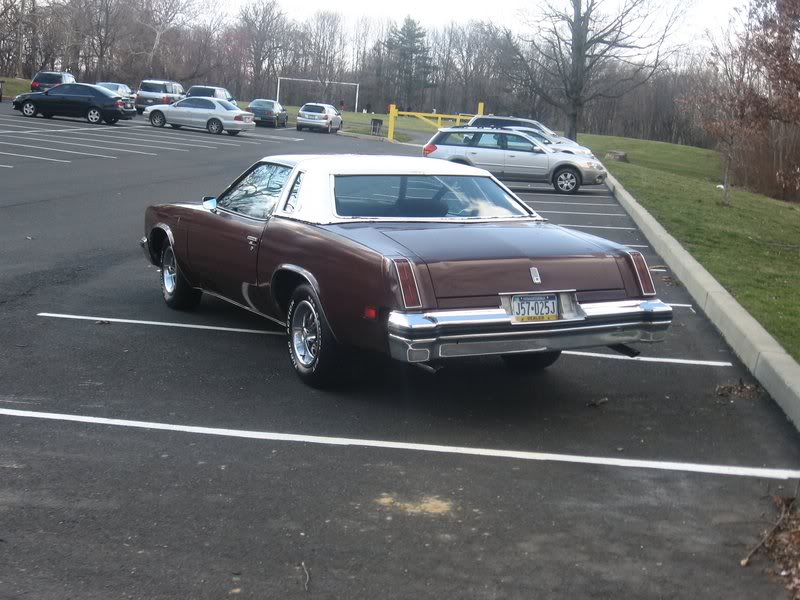 Name:  cutlassS01.jpg
Views: 47
Size:  81.5 KB